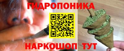 стаф Будённовск
