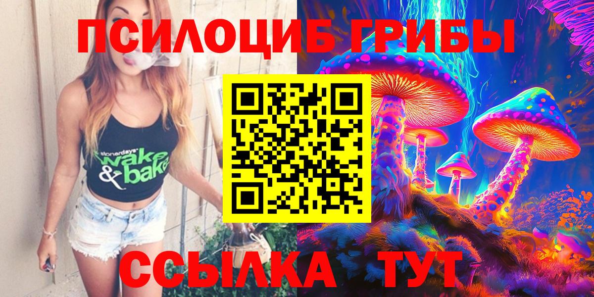 Краснознаменск  Псилоцибиновые грибы GOLDEN TEACHER  Вход с VPN  Галлюциногенные грибы GOLDEN TEACHER 
